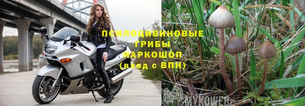 МДПВ Армянск