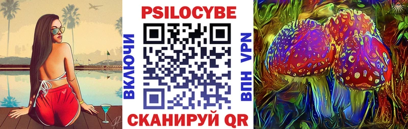 Купить  Красноперекопск  Псилоцибиновые грибы Cubensis 